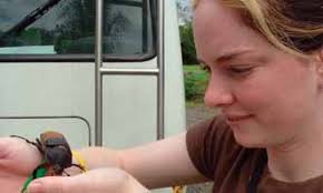 Otterbein Towers Summer 2006