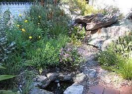 Australian Native Garden Pond Australian Native Garden Garden Plants Design Australian Garden