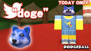 Diy doge was released on november 25, 2014. Alexnewtron On Twitter Today Only Enter Twitter Code Doge In Roblox Dodgeball For A Free Doge Hat Http T Co Korupfaf15 Http T Co Hsbzzjijrj