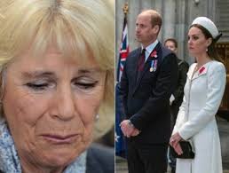 Stop losing your mind!”