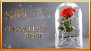 Hast du bis hierhin gescrollt, um die fakten über die schöne und das biest zu erfahren? Diy Verzauberte Rose Von Die Schone Und Das Biest Disney Inspiriert Youtube