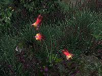 Oblivion Columbine Root Pulp The Unofficial Elder Scrolls Pages Uesp