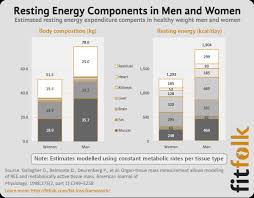 Average Basal Energy Expenditure Bee Basal Metabolic Rate Bmr