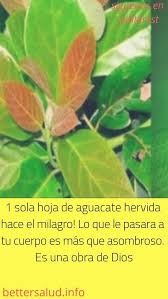 Pin En Remedios Caseros