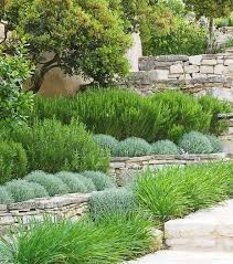 A Mediterranean Planting Scheme With Santolina Iris And Rosemary In Groups On Dry Stone Wall Mediterranean Garden Design Mediterranean Garden Landscape Design