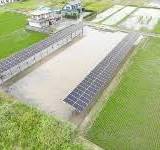 栗東市の営農型太陽光、「一本足架台」で連鎖倒壊リスク低減 ...