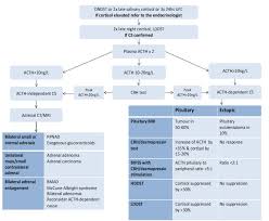 Image result for Cushing Response