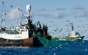 A greenpeace em portugalrealizado por: Portugal Limita Pesca Por Arrasto Azul Ericeira Magazul Ericeira Mag O Melhor Da Ericeira