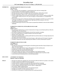 Brand managers are responsible for the creation and implementation of marketing and communication activities for a brand. Marketing Brand Manager Resume Samples Velvet Jobs