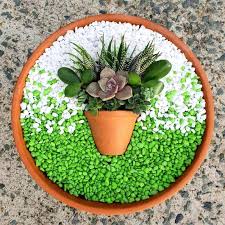 How To Make An Artistic Succulent Dish Garden Succulents Diy Succulent Garden Diy Succulents