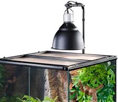 The Exo Terra Light Bracket Is Designed To Suspend The Exo Terra Light Dome Or Other Types Domes Or Wire Fixtures Abov Bracket Lights Glass Terrarium Diy Glass