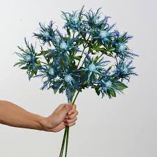 sea holly, sea holly Suppliers and Manufacturers at Alibaba.com