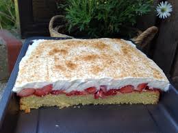 Erdbeer Fanta Kuchen Aus Meinem Kuchen Und Tortenblog Kuchen Kuchen Kuchen Rezepte Kuchen Ohne Backen
