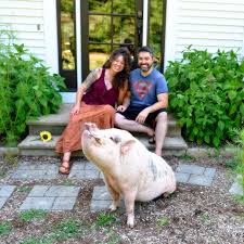 Profile for George the Pig