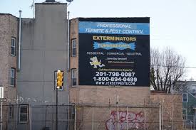 High quality pest control services. Professional Termite Pest Control 44 Photos 51 Reviews Pest Control 1161 Summit Ave Jersey City Nj Phone Number
