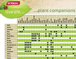 Spring is here (in my neck of the woods), and it's time to get the garden ready! Companion Planting Yates Companion Planting Guide Companion Gardening Companion Planting