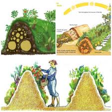 Depending on the state of the soil, you may need to water them twice a day. Hugelkultur German Meaning Hill Culture Or Mound Culture Is The Garden Concept Of Building Raised Beds Over D Permaculture Gardening Permaculture Plants