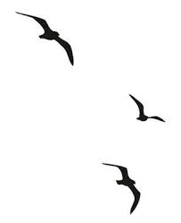 3 Black Bird Tattoo Meaning 3 Birds Seagull Tattoo Shadow Tattoo Small Tattoos