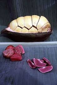 Kola Nut Food Cameroon Food African Food