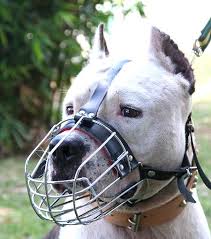 American Staffordshire Terrier Wire Basket Dog Muzzles Size