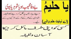 Pyar Mein Pagal Karne Ka Wazifa In Urdu 91 7790946606 By Molana Salim Medium Kaala paisa pyar » urdu 1 » episode 117 » 13th january 2016 » pakistani drama serial. pyar mein pagal karne ka wazifa in urdu