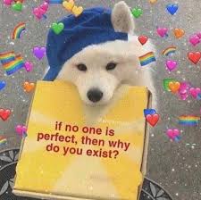 We did not find results for: You Re All Amazing R Wholesomememes Wholesome Memes Know Your Meme