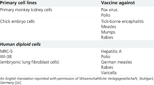 Diploid cells have a finite in vitro lifespan and contain the full complement of genetic material. Approved Vaccines Produced With Primary Cells And Diploid Cell Lines Download Table