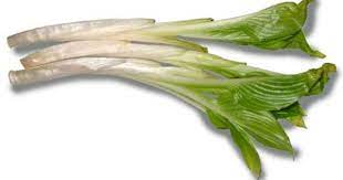 ウルイ うるい オオバギボウシ 春の山菜 旬の野菜百科