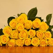 Choose from a wide selection of fresh cut wholesale flowers for your event and wedding decorations. Fresh Flowers Bulk Orders Page 1 Of 2