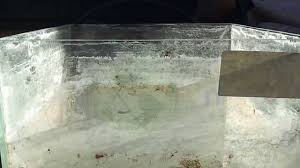 Ben aracı pak ettikten sonra fiskiyeler çalışmaya başlamış. Eikin Nano Cam Yuzeyden Kirec Temizleme Youtube