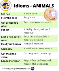 Idioms About Animals In English Idioms And Phrases English Idioms English Grammar