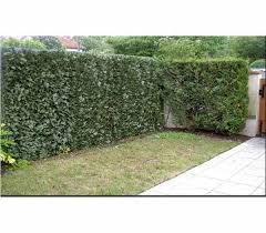 Brise Vue Reglable Sur Mesure En Hauteur Et Largeur S Adapte Sur Tous Supports Grillages Clotures Murs Balcons Jardins Treillis Bois Amenagement Exterieur