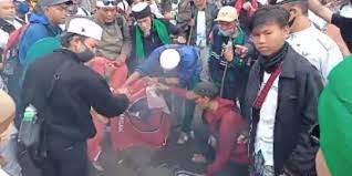 Ilustrasi banteng putih dan hitam, charging bull drawing, banteng, kuda. Bendera Dibakar Banteng Meradang Merdeka Com