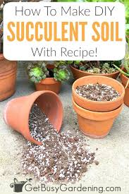 Cactus mix is soil specially designed for growing cactus. How To Make Your Own Succulent Soil With Recipe Succulent Soil Best Soil For Succulents Succulents Diy