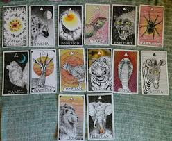 Animal spirit kim krans (63 cards) regular price. Scorpion Wild Unknown Animal Spirit Cards Unlocking Words