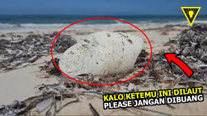 Tiap garis digunakan berdasarkan peraturan tertentu. Jenis Jenis Ambergris Senarai List 19 Jenis Perfume Arielle Arielle Parfum Malaysia Facebook Jenis Kucing Ini Berasal Dari Eropa Tepatnya Adalah Inggris Doni Cahyadi