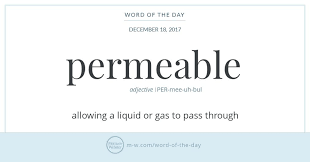 Word Of The Day Permeable Word Of The Day Words Aesthetic Words
