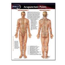 Permachart Acupuncture Points Acupuncture Points