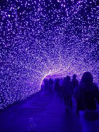 Uv Tunnel Photo Pictures Japan