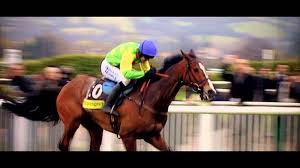 Check spelling or type a new query. Rennlegende Kauto Star Nach Koppelunfall Eingeschlafert Equestrian Worldwide Pferdesport Weltweit Eqwo Net