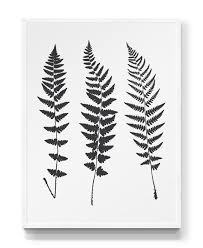 Printable Black And White Botanical Prints Fern Leaf Printable File Graphic Plant Print Botanical Illustration Black White Leaf Wall Decor Modern Minimal Art Nature Print Leaf Silhouette Nature Prints Plant Print