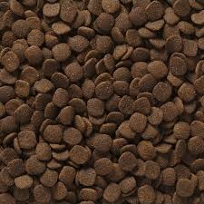 2019 black friday / cyber monday dogs dry food deals and updates. Zdvmkncq Gka6m