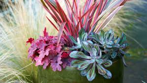 Get creative with seasonal favorites such as mums, flowering kale, and pansies, or play with dynamic combinations of annuals, perennials, and grasses that also make excellent fall container plants. The Most Gorgeous Fall Container Gardens For Any Space Sunset Sunset Magazine