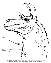 Free cute llama coloring pages, download and color cute llama coloring pages Llama Coloring Pages Best Coloring Pages For Kids