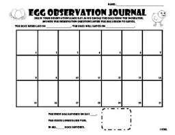 Egg Observation Journal For Incubation And Candling You