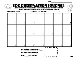 egg observation journal for incubation and candling you