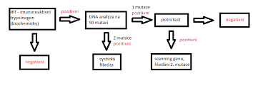 Schéma ukazuje cystickou dědičnost fibrózy. Https Is Muni Cz El 1411 Podzim2014 Vlkg7x1c Um Cystickafibroza Pdf