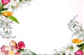 Scarica questa immagine gratuita di quadro fiori telaio png cornice dalla vasta libreria di pixabay di immagini e video di pubblico dominio. Cornici Fiori Loonapix Cornici Per Foto Online