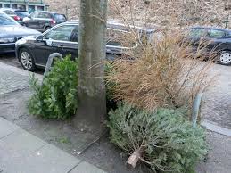 Montag ist bezirk a, dienstag b, mittwoch c, donnerstag d und freitag e an der reihe, die gesamte woche über werktags wird in bezirk f abgeholt. Weihnachtsbaum Entsorgen Wohin Mit Dem Alten Baum