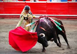 Lo cuenta Pla Ventura: En América, sí - Toros de Lidia